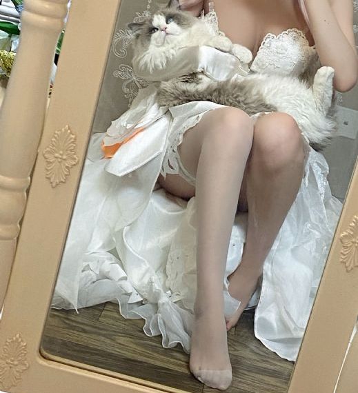71c精品视频在线网址_免VIP免费在线观看